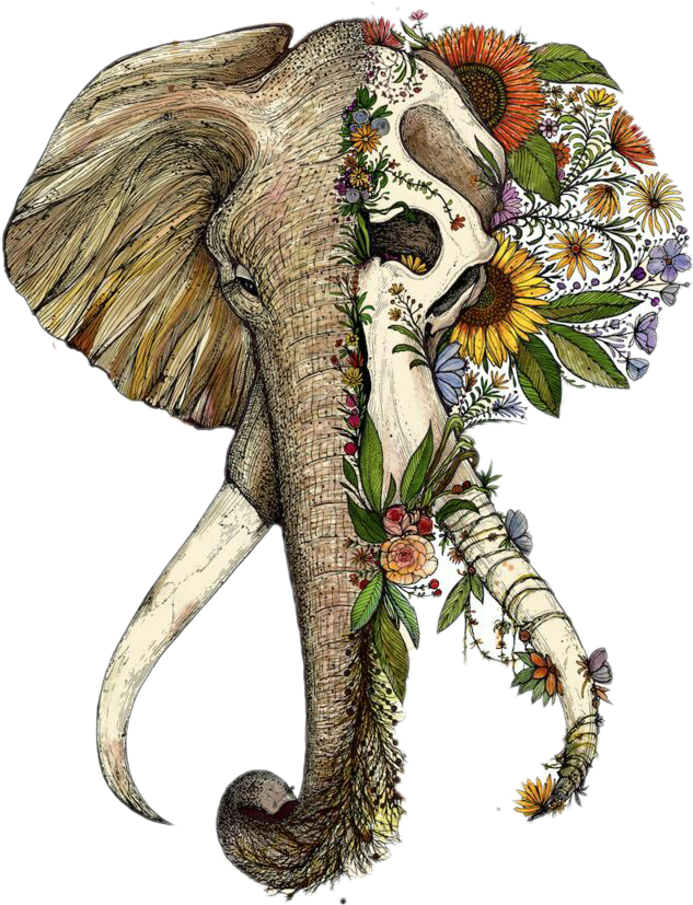 Floral Elephant Skull Tattoo Art PNG