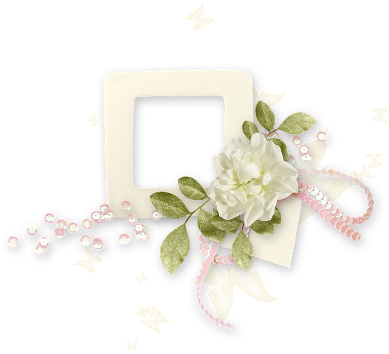 Floral Embellished Frame Design PNG