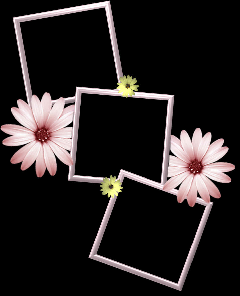 Floral Embellished Photo Frames PNG