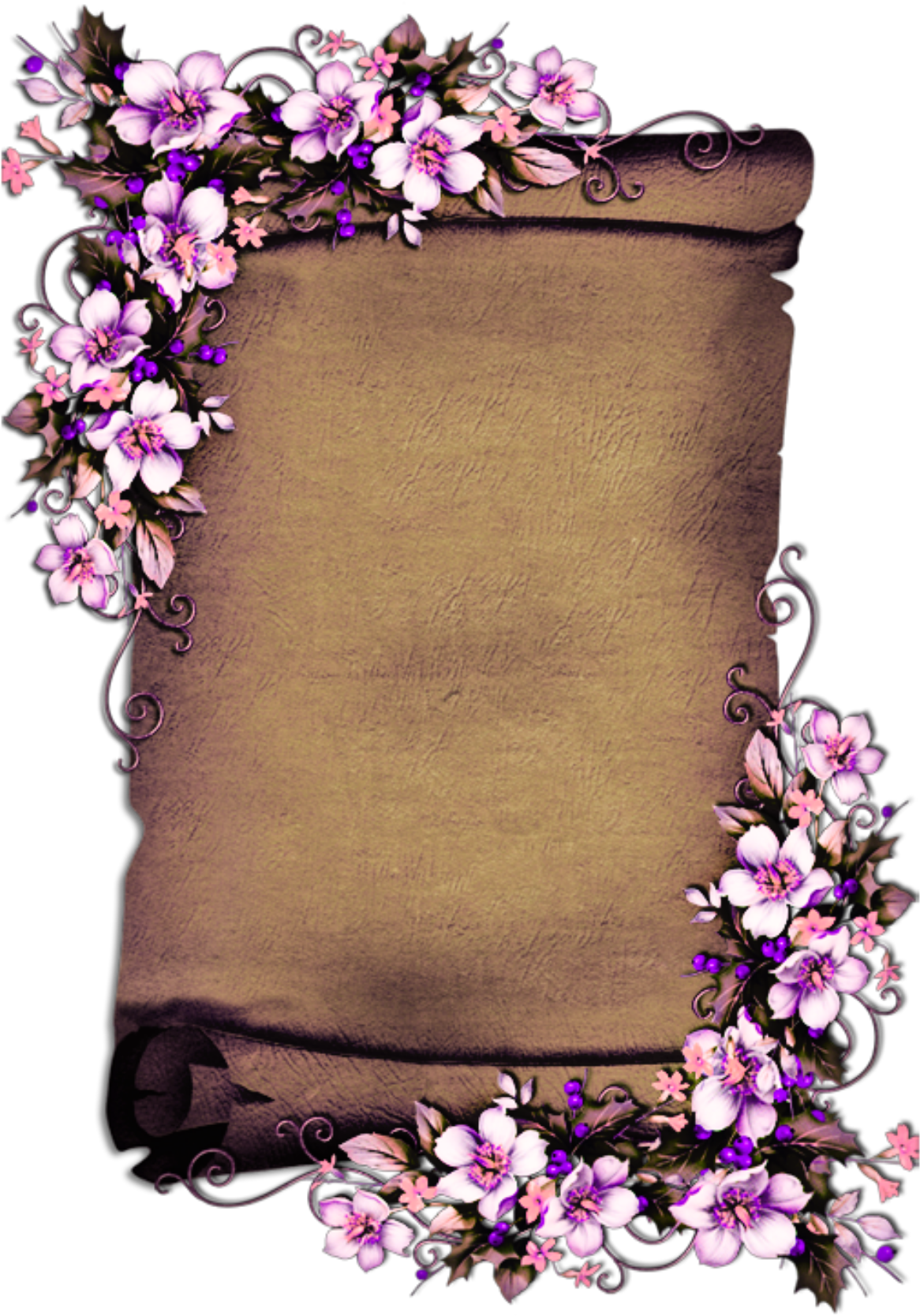 Floral Embellished Scroll Paper PNG