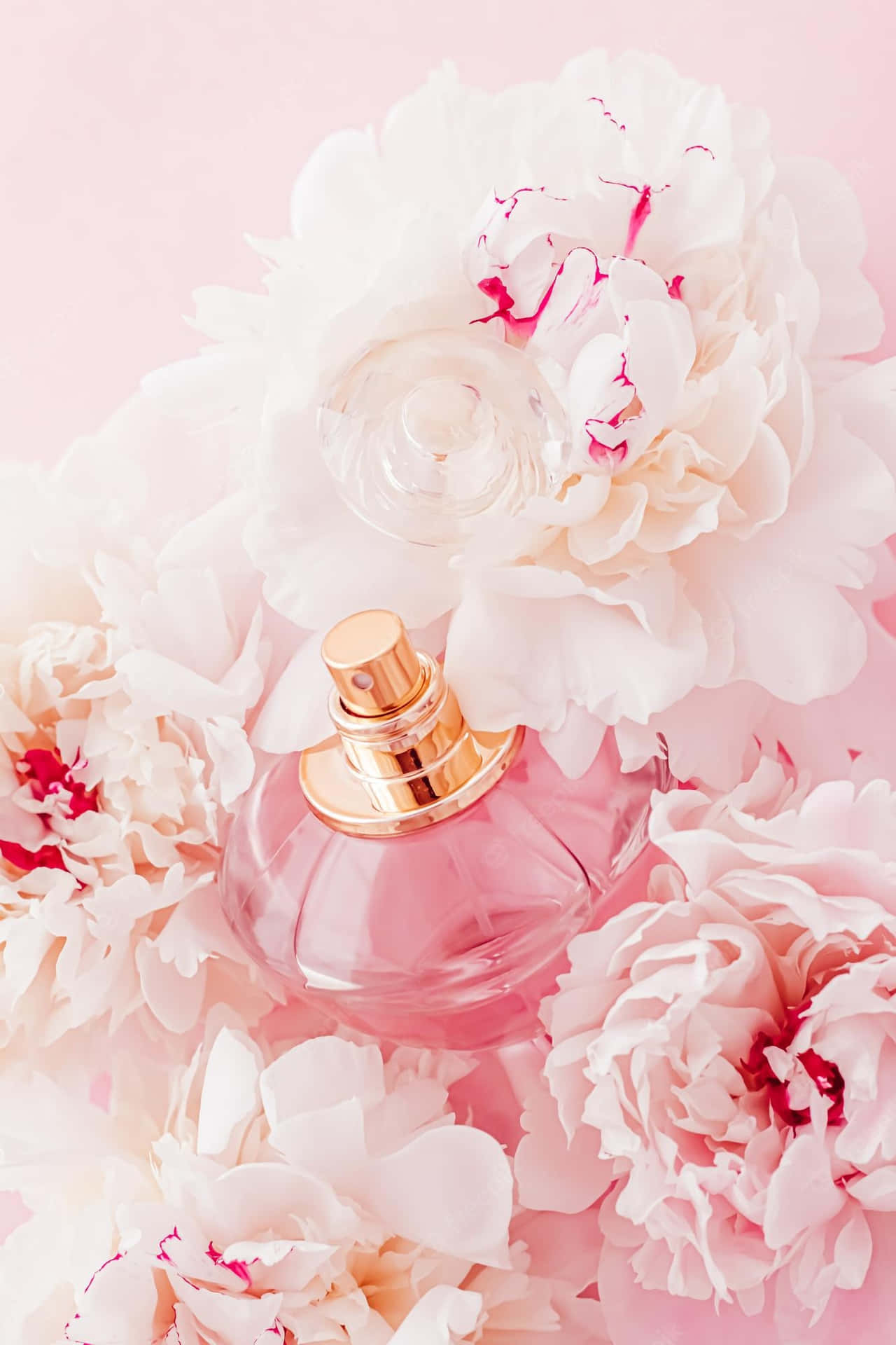 A mesmerizing Floral Fragrance in vibrant colors Wallpaper
