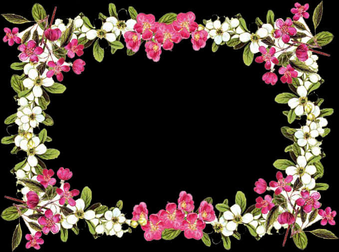 Floral_ Frame_ Border_ Design PNG