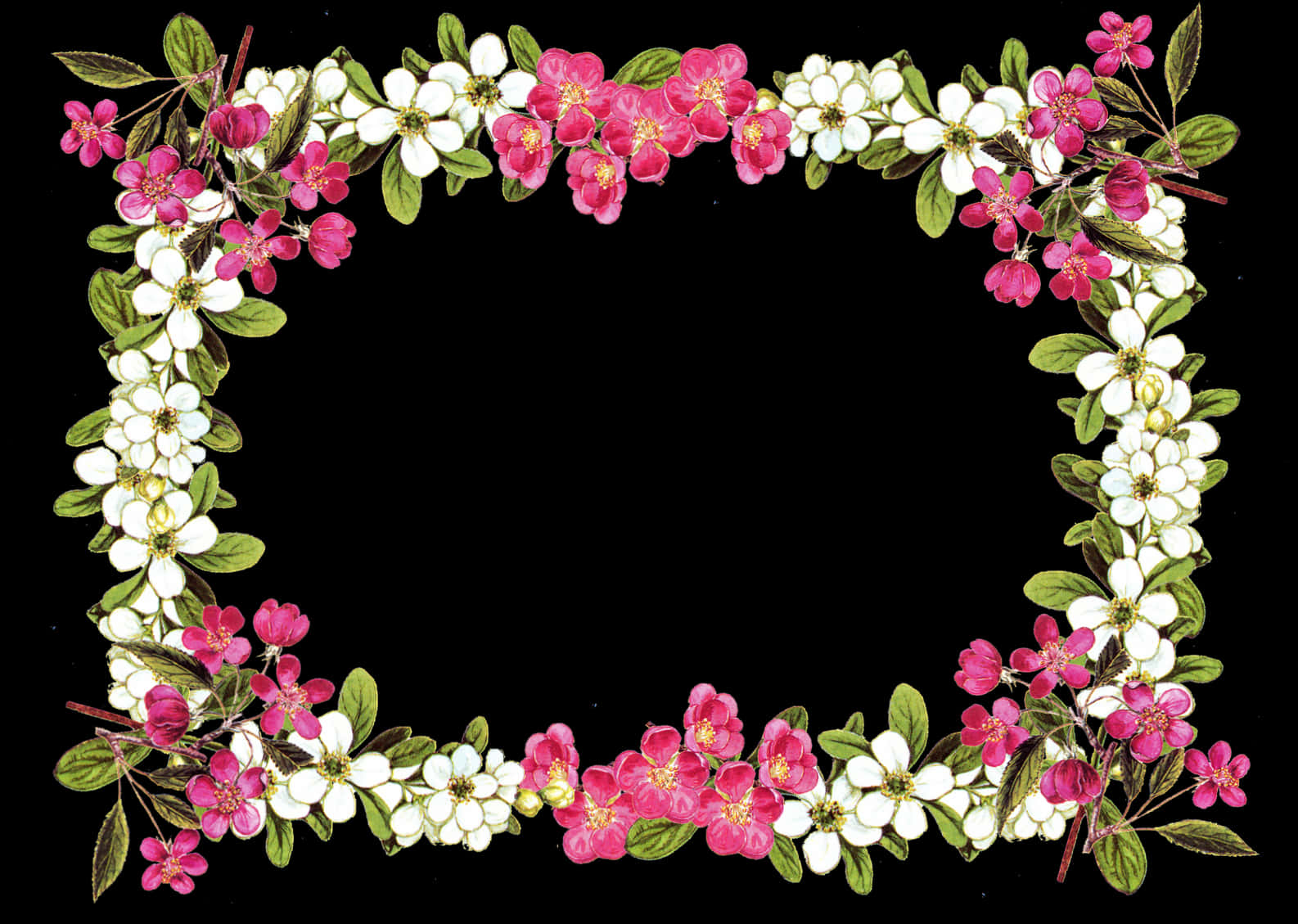 Floral_ Frame_on_ Black_ Background PNG