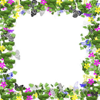Floral_ Frame_with_ Butterflies PNG