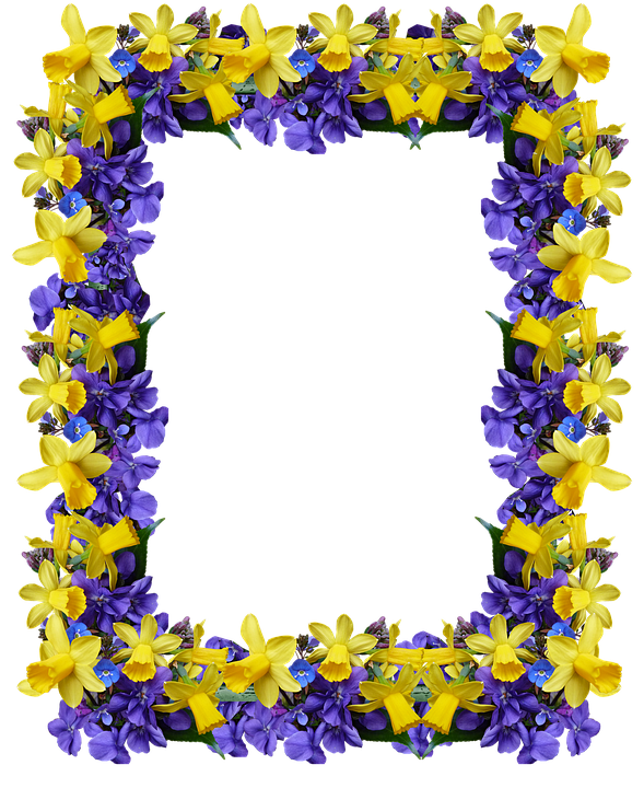 Floral Frame Yellowand Purple Flowers PNG