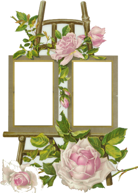 Floral Framewith Blank Spaces PNG