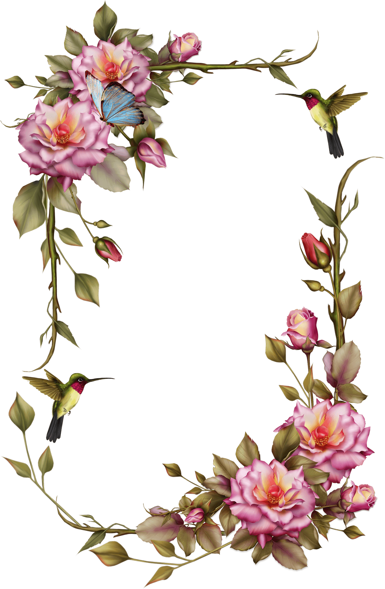 Floral Framewith Hummingbirdsand Butterfly PNG