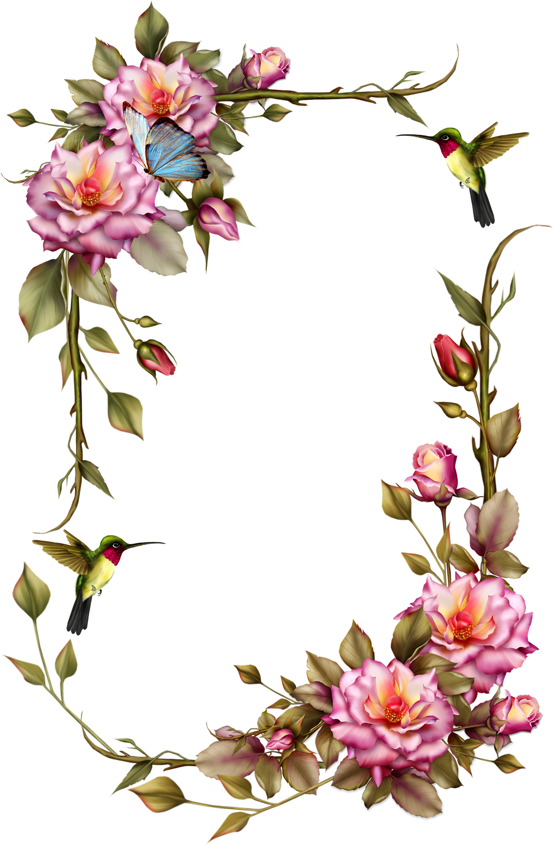 Floral Framewith Hummingbirdsand Butterfly PNG