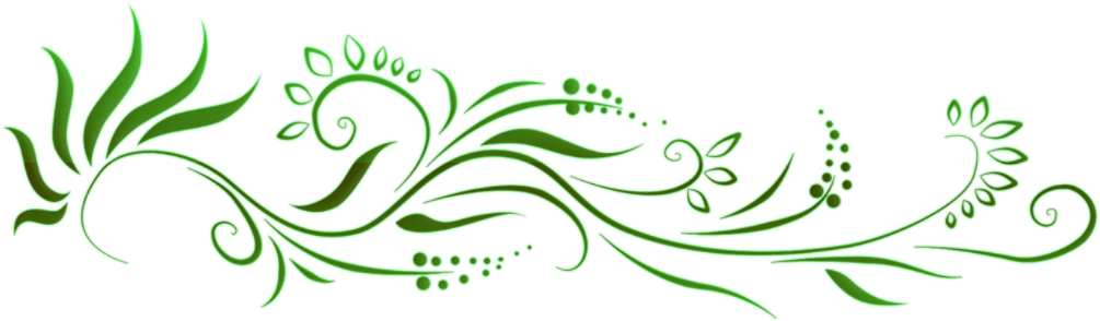 Floral Green Border Design PNG