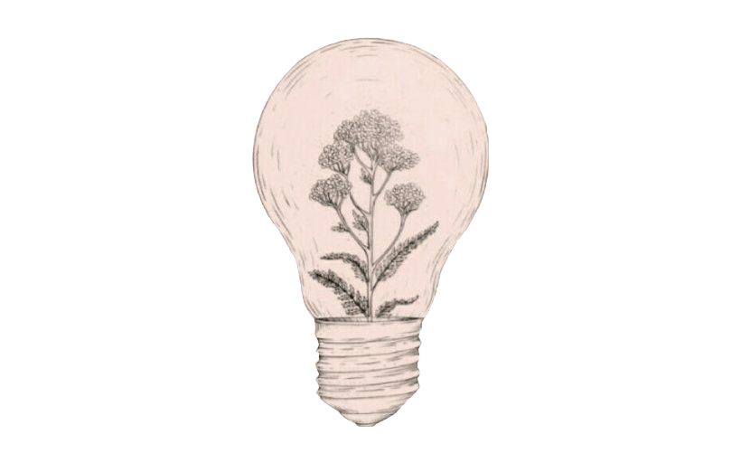 Floral Idea Lightbulb Illustration PNG