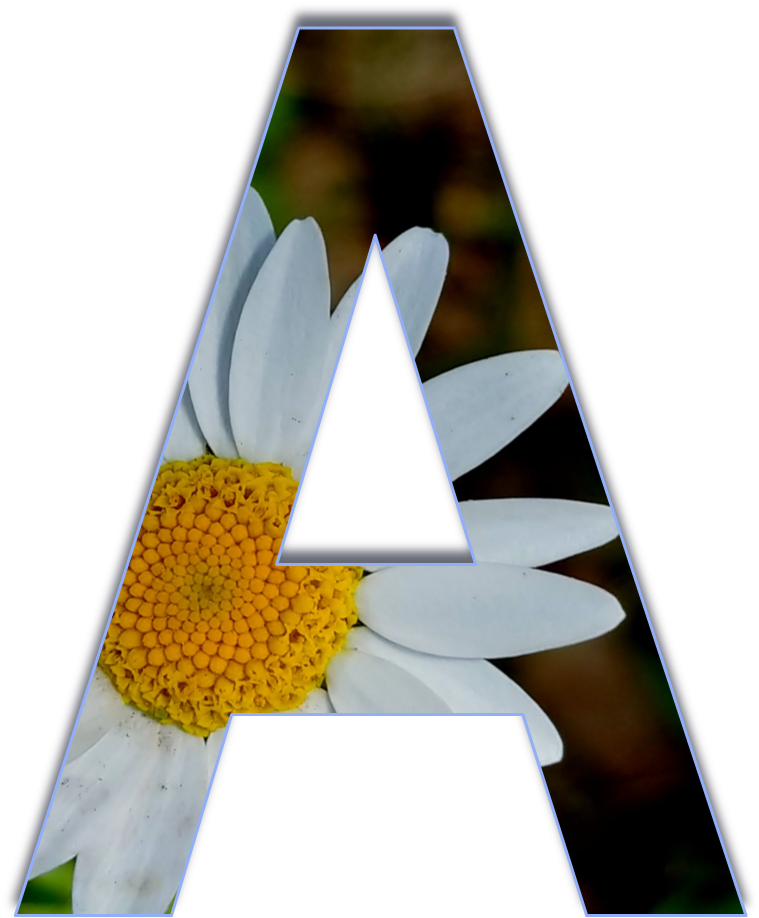 Floral Letter A Design PNG