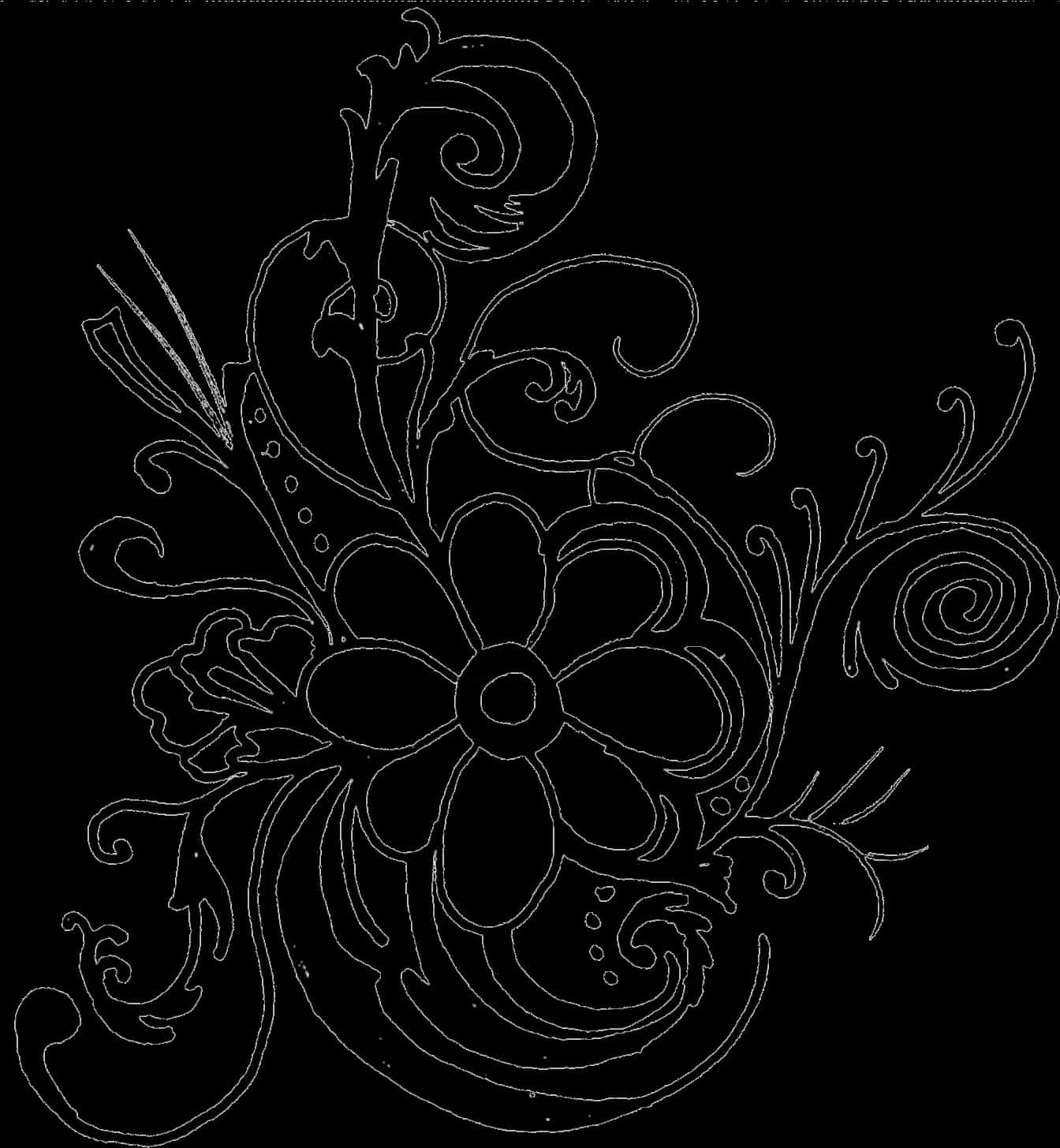 Floral Outline Artwork PNG