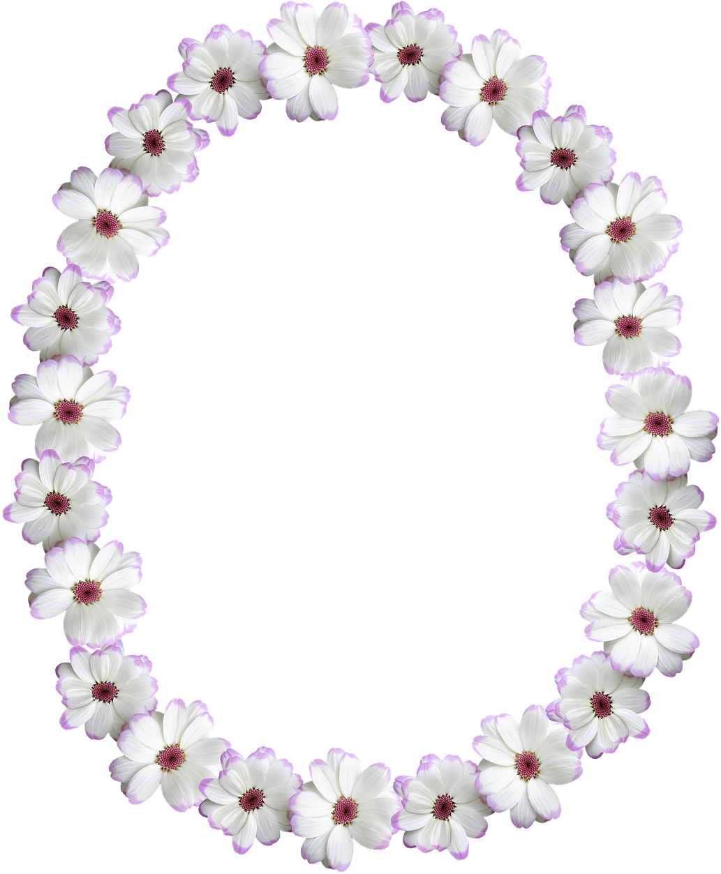 Floral Oval Frame Design.png PNG