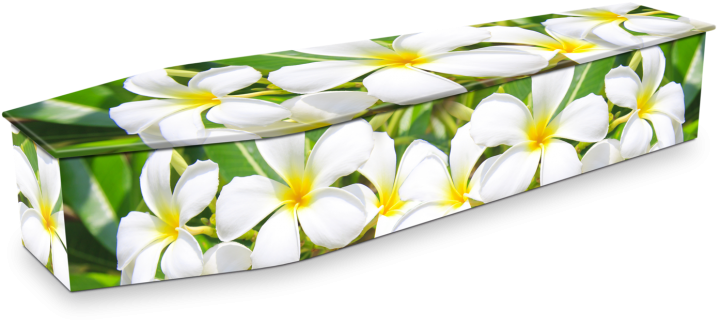 Floral Pattern Coffin PNG