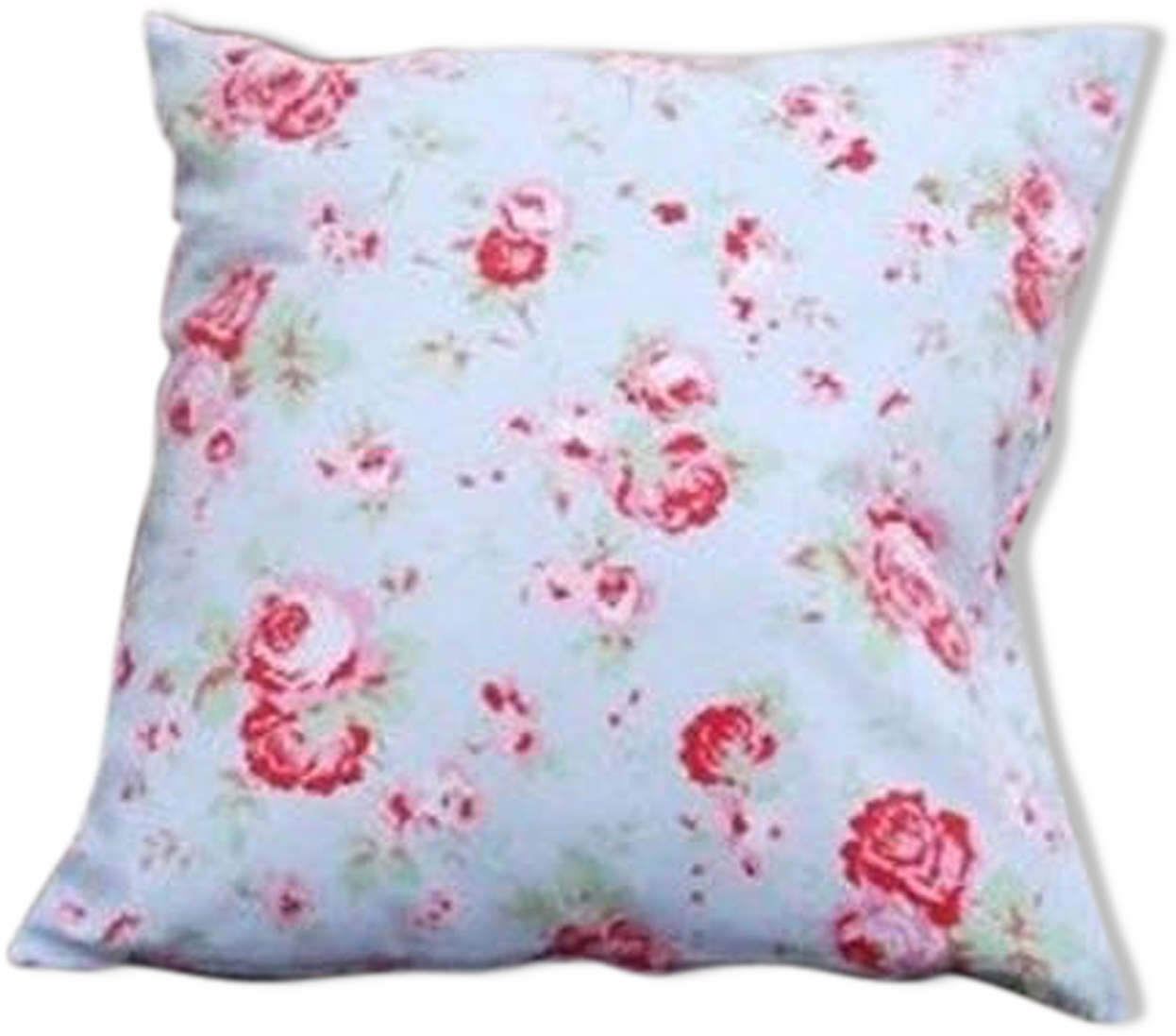 Floral Pattern Cushion.png PNG