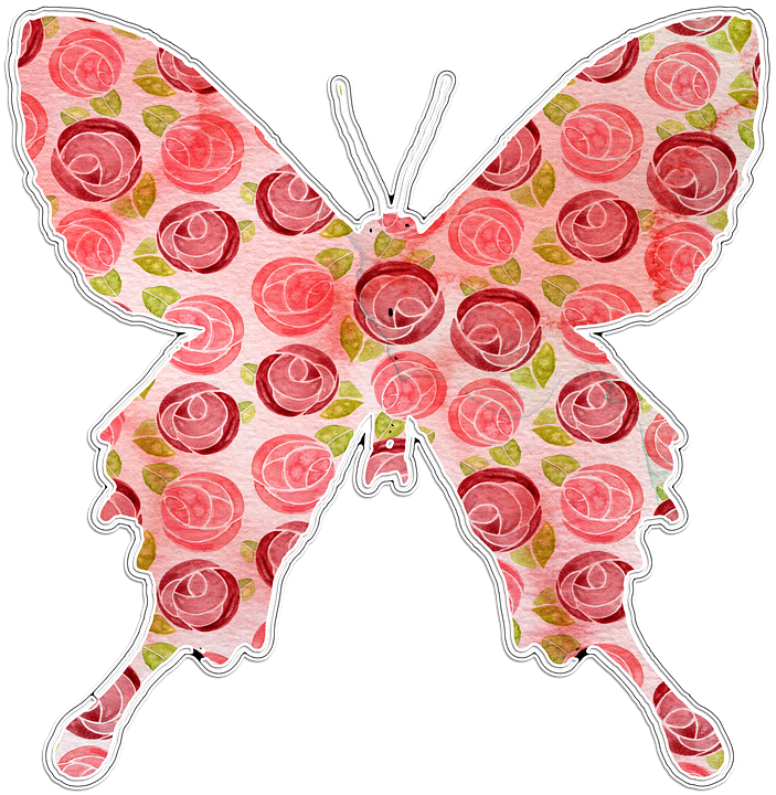 Floral Patterned Butterfly Artwork PNG