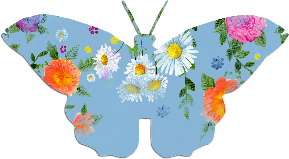 Floral Patterned Butterfly Illustration PNG