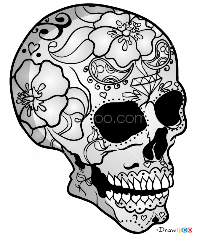Floral Patterned Skull Drawing PNG