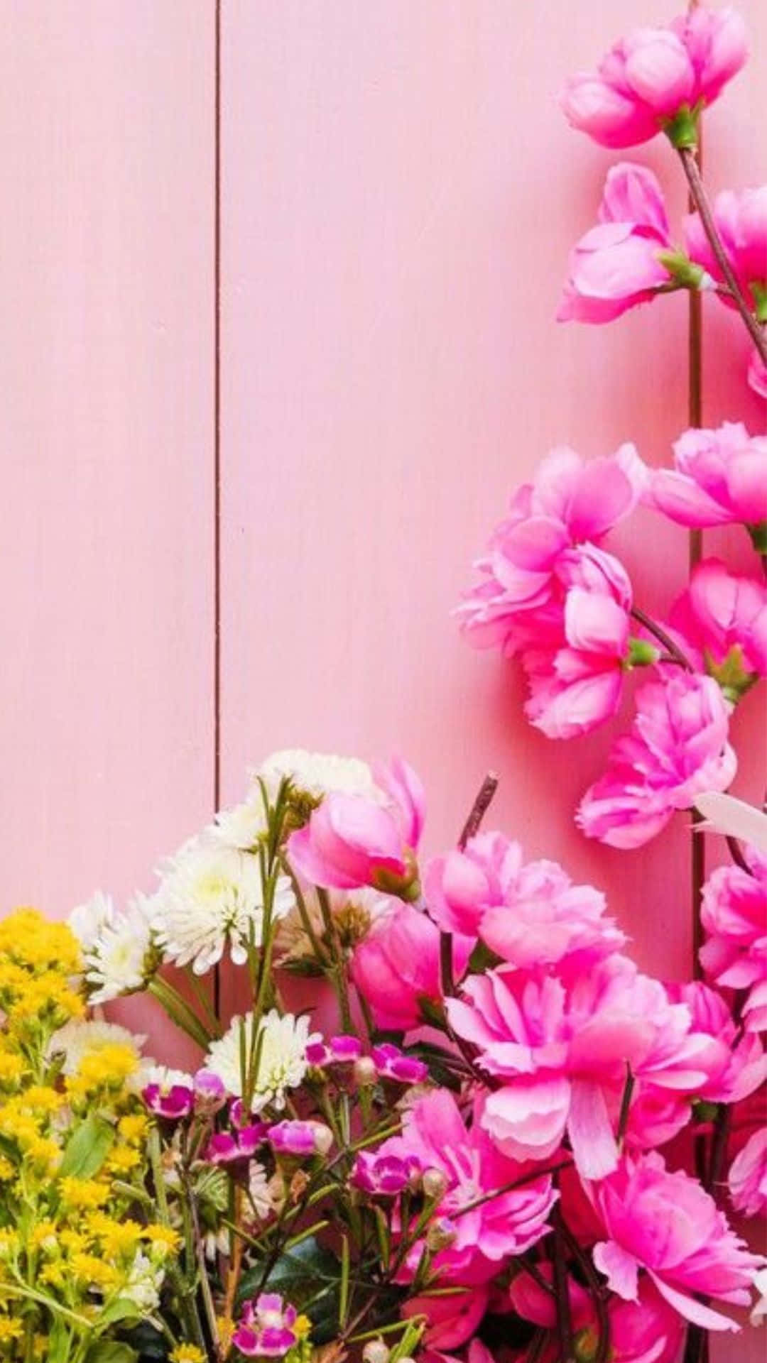 Pink Flowers On A Pink Wall