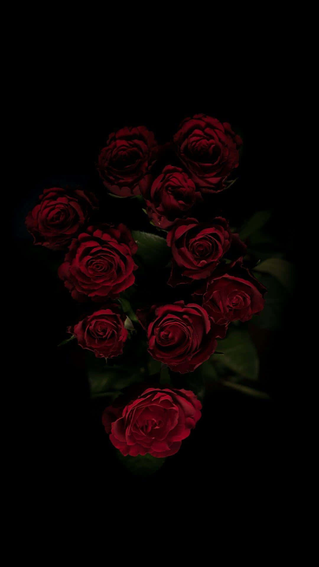 A Bunch Of Red Roses