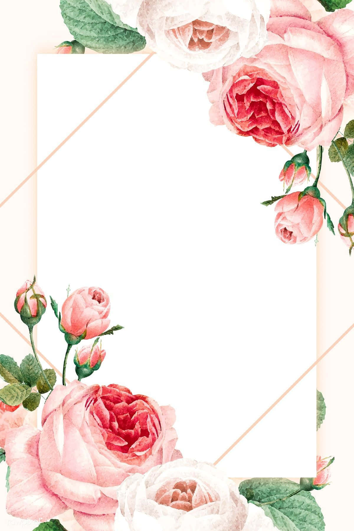 Pink Roses Frame With White Space