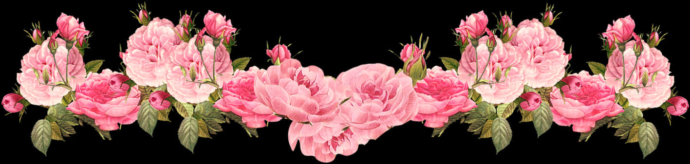 Floral Pink Roses Border PNG