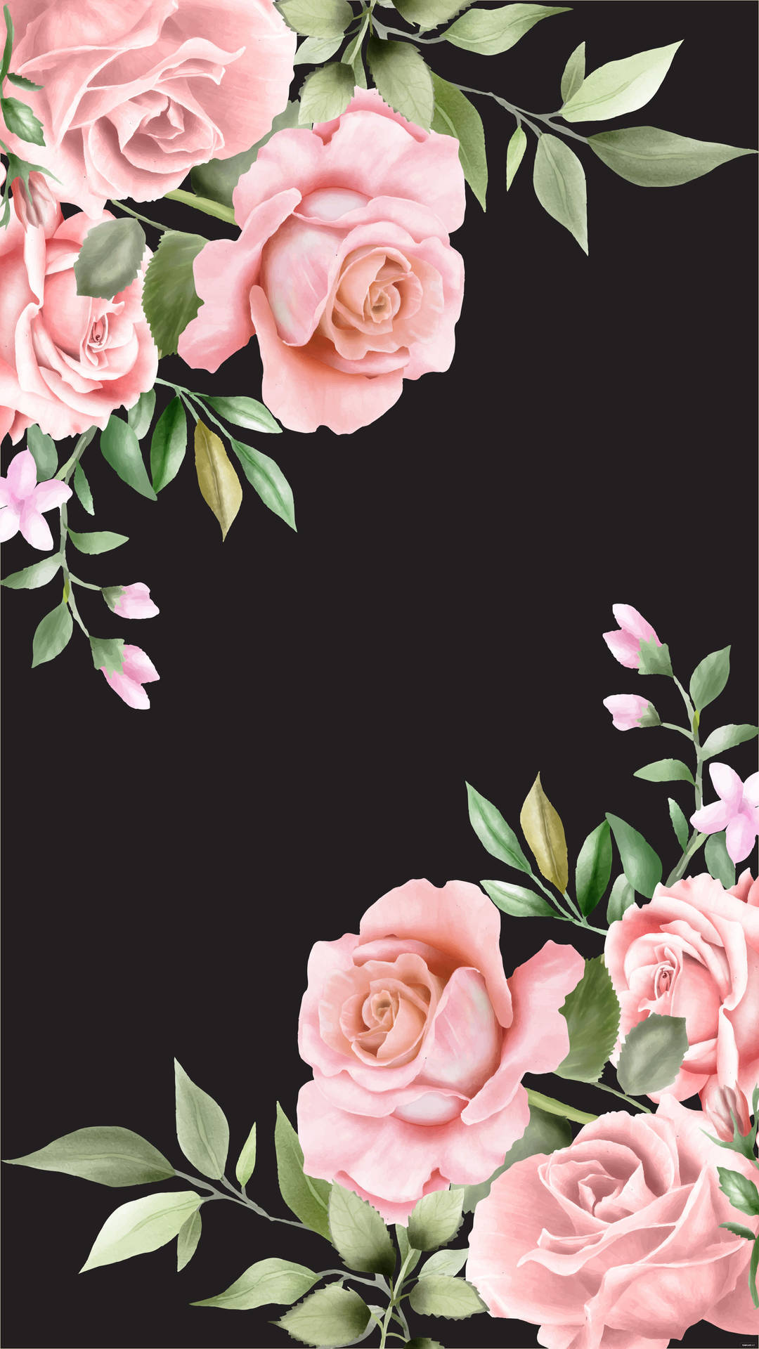 Floral Roses Border Phone Wallpaper