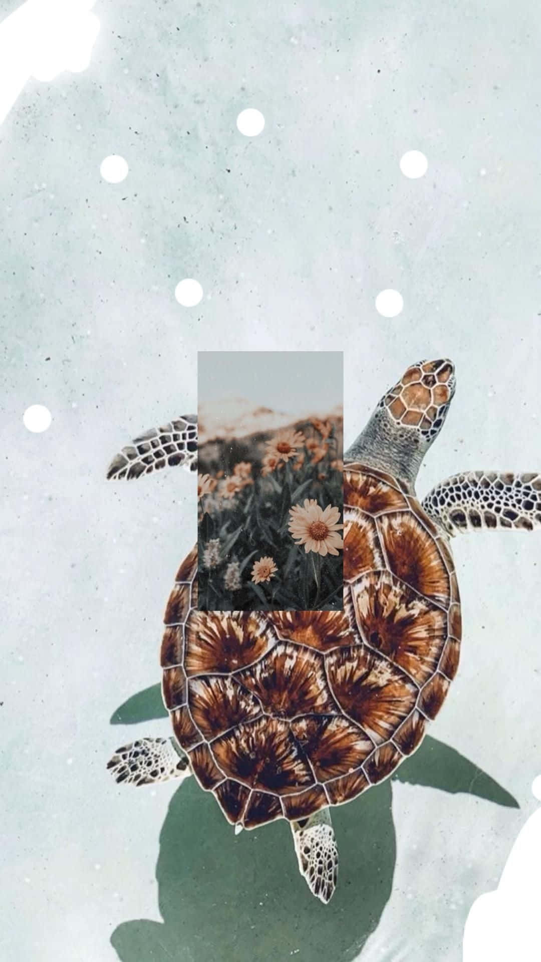 Floral Shell Turtle Aesthetic Wallpaper