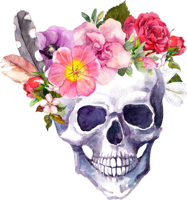 Floral Skull Watercolor Art PNG
