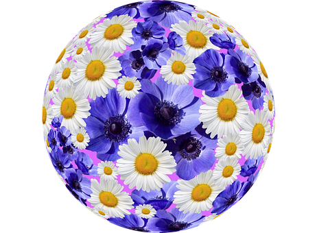 Floral_ Sphere_ Artwork PNG