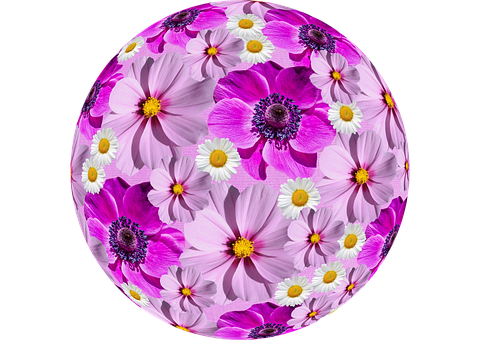 Floral_ Sphere_ Artwork PNG
