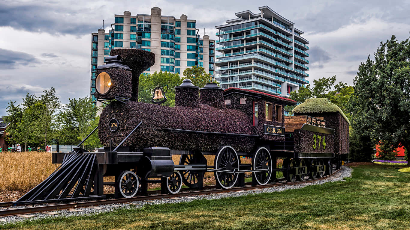 Exposition Florale De Train À Gatineau Fond d'écran