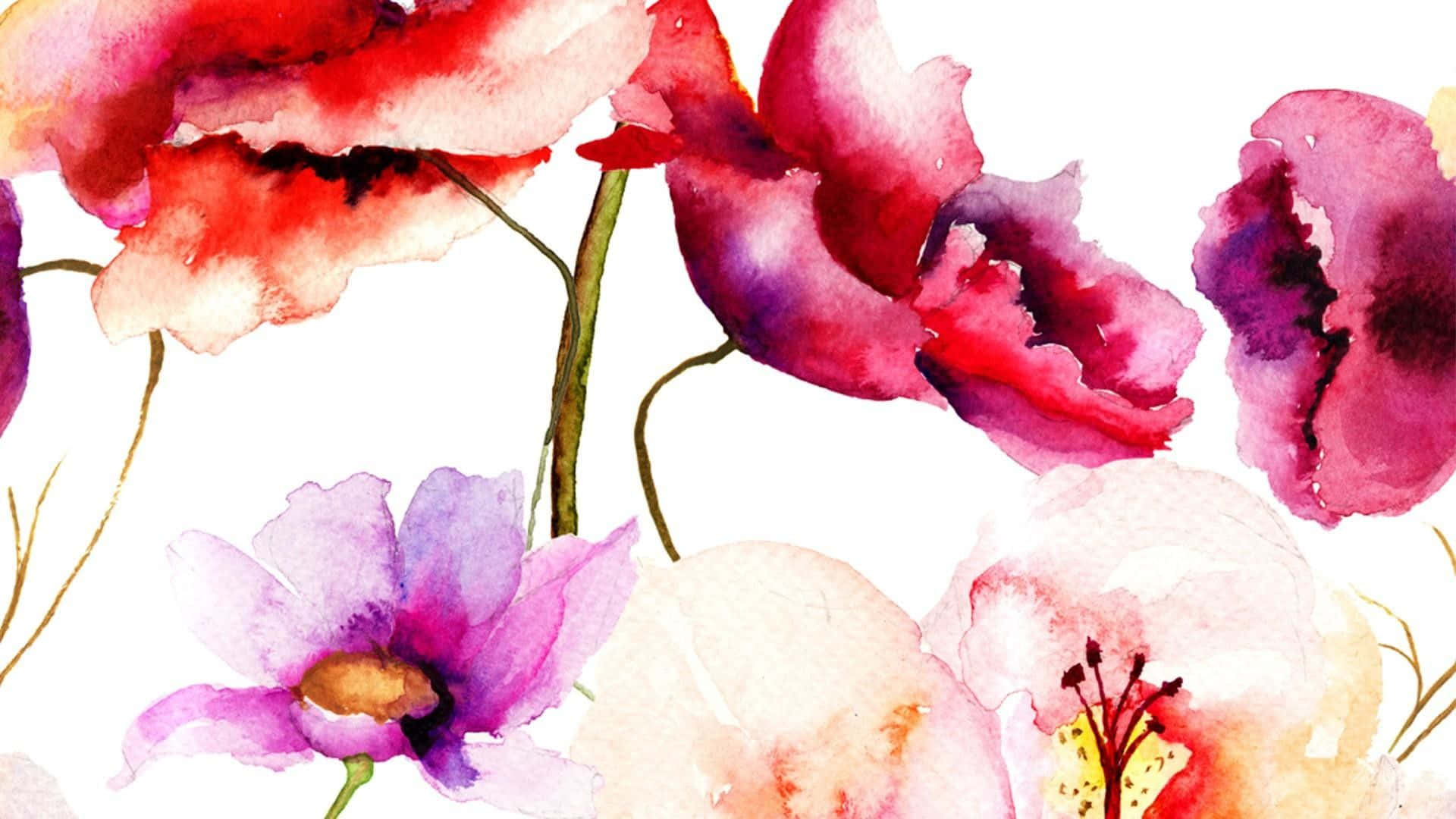 Watercolor Flowers On A White Background