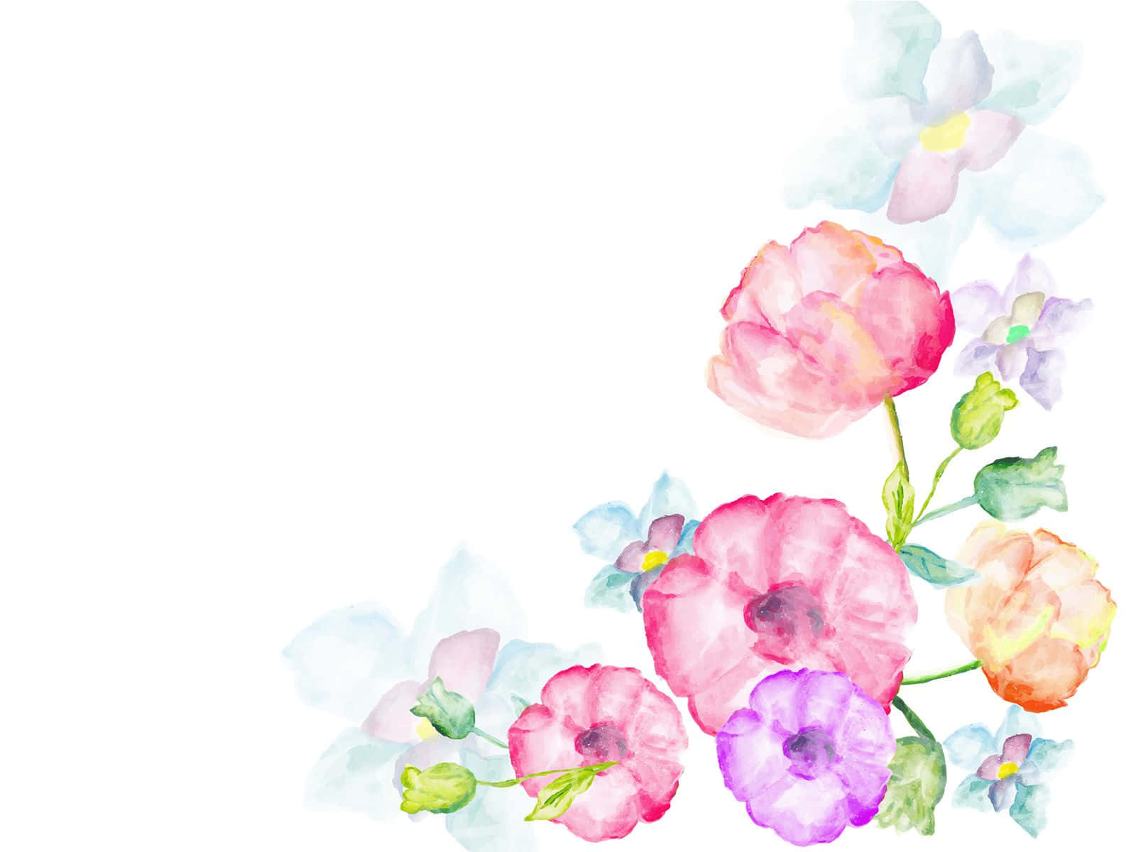 Soft and Sweet Watercolor Floral