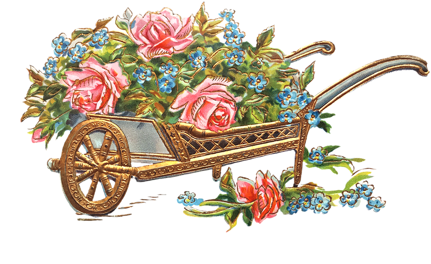 Floral Wheelbarrow Vintage Illustration PNG