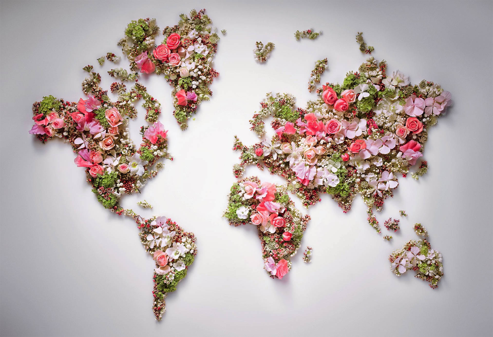 Floral World Map Artwork Wallpaper
