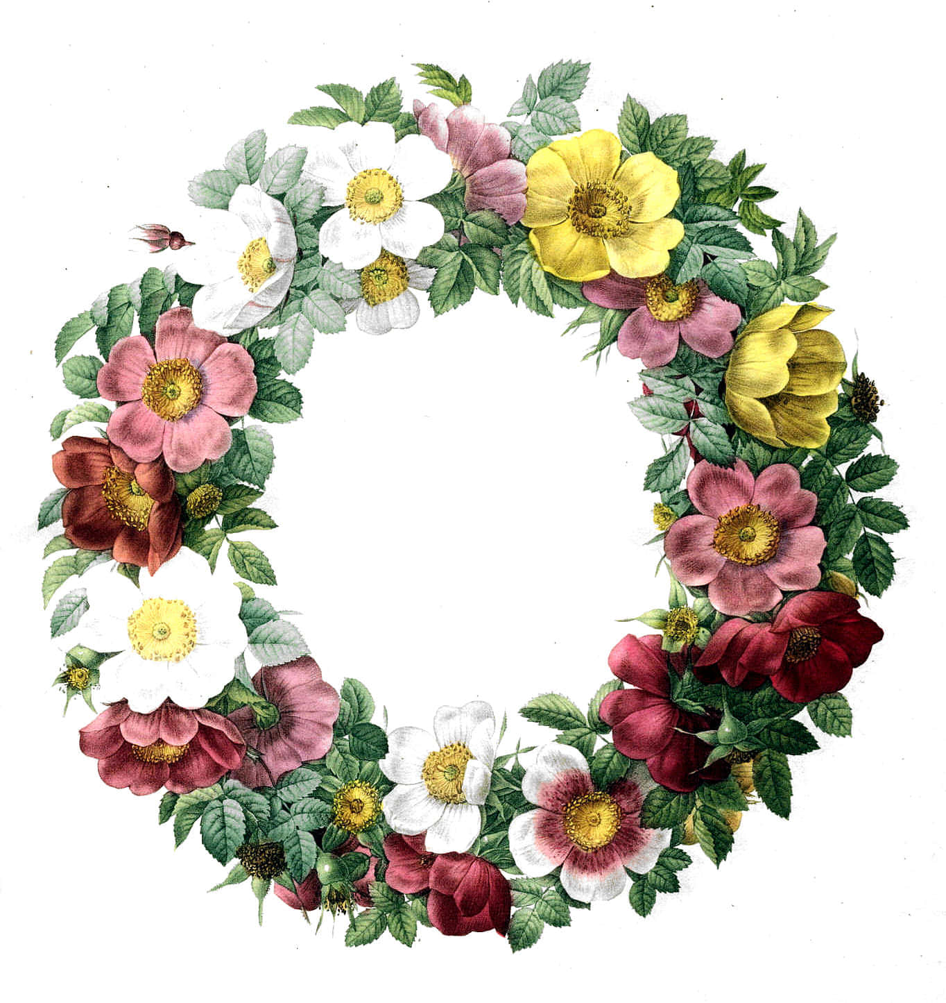 Stunning Floral Wreath with Vibrant Flowers Wallpaper