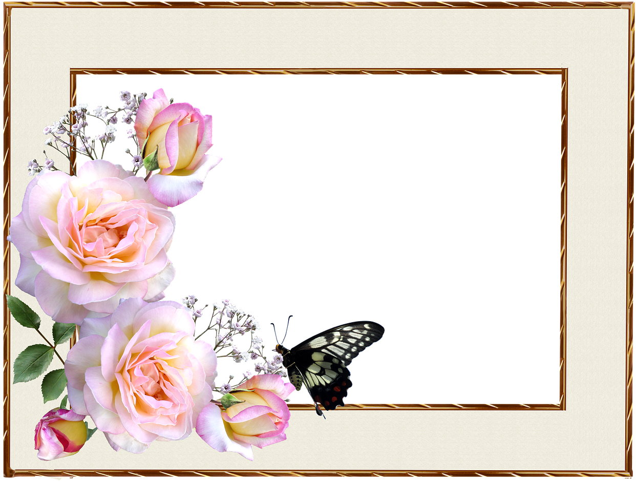 Floral_ Border_ Design_with_ Butterfly PNG