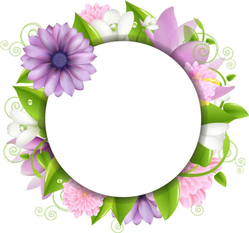 Floral_ Frame_ Circle_ P N G PNG