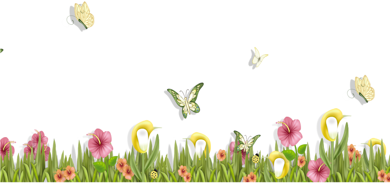 Floral_ Garden_with_ Butterflies_ Clipart PNG