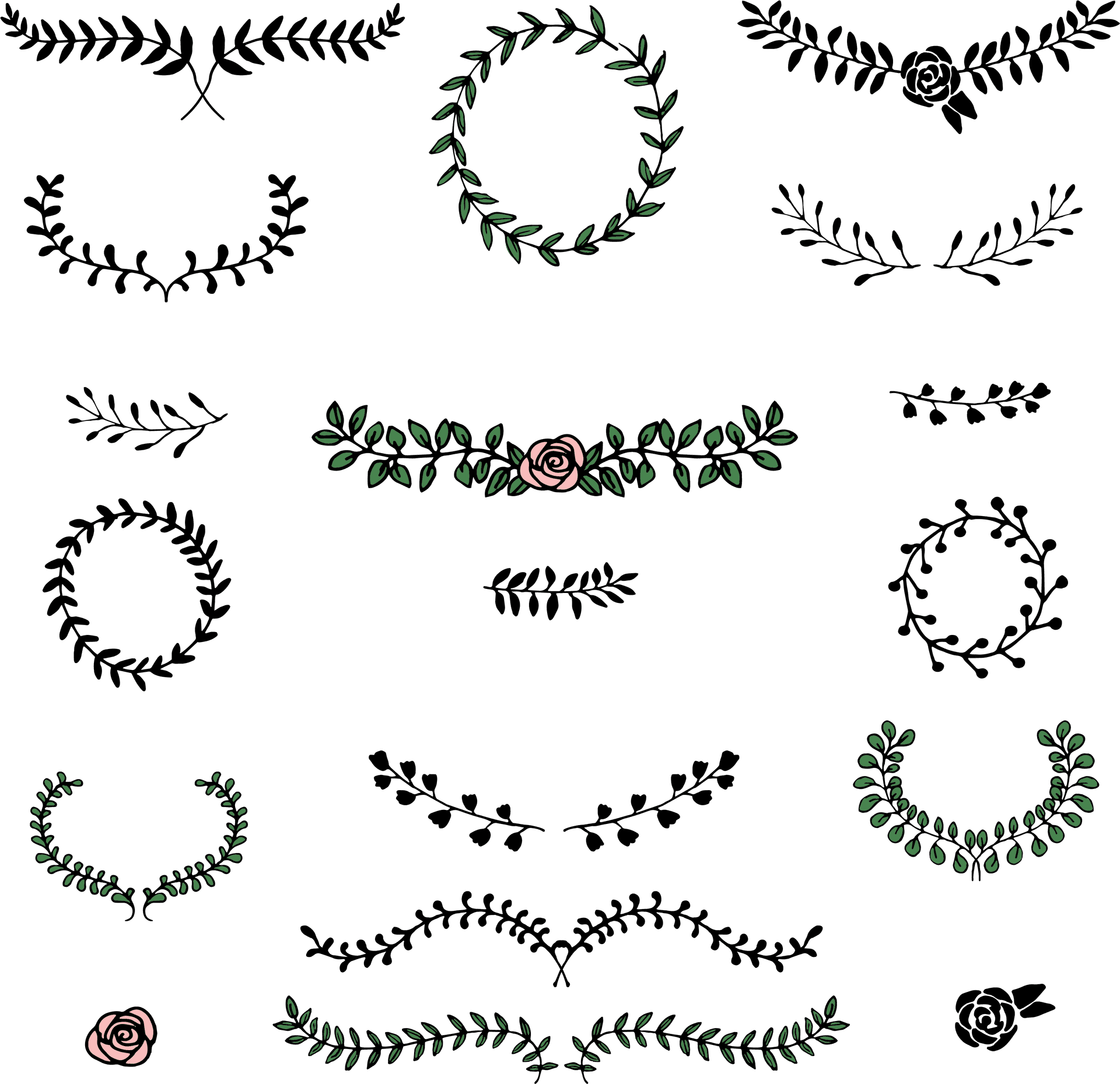 Floral_ Ornament_ Vector_ Collection PNG