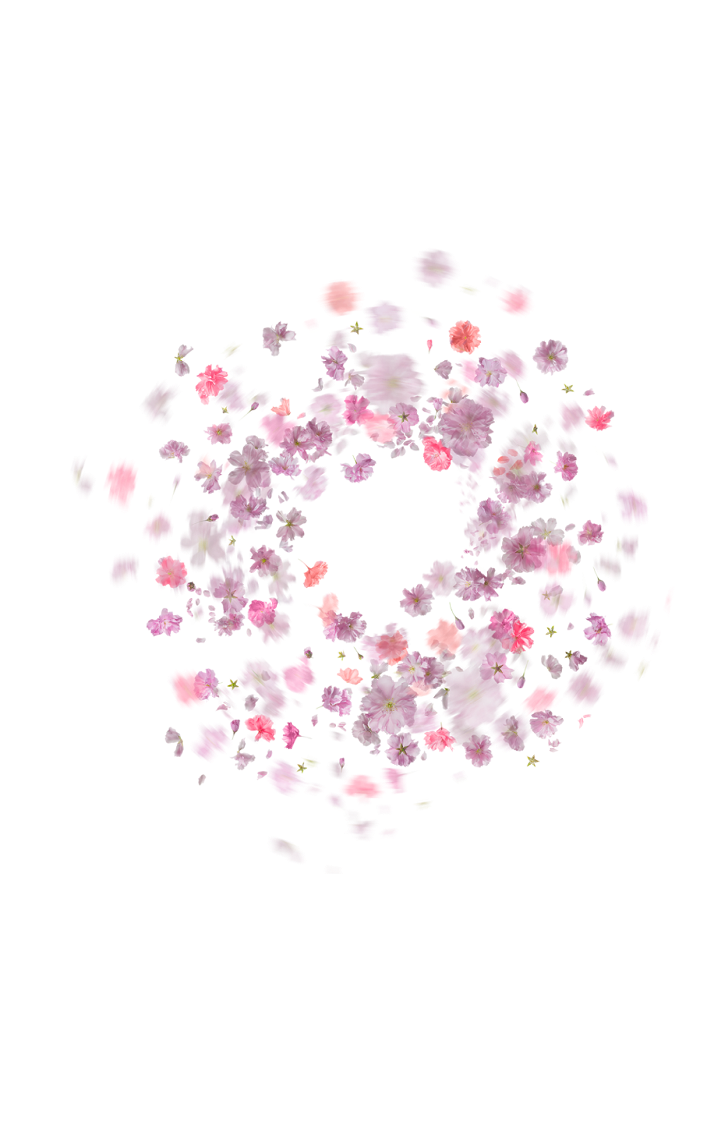 Floral_ Spiral_ Falling_ Petals PNG