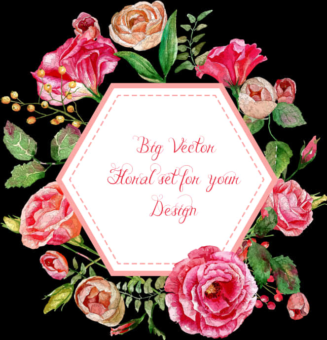 Floral_ Vector_ Set_ Promotion PNG