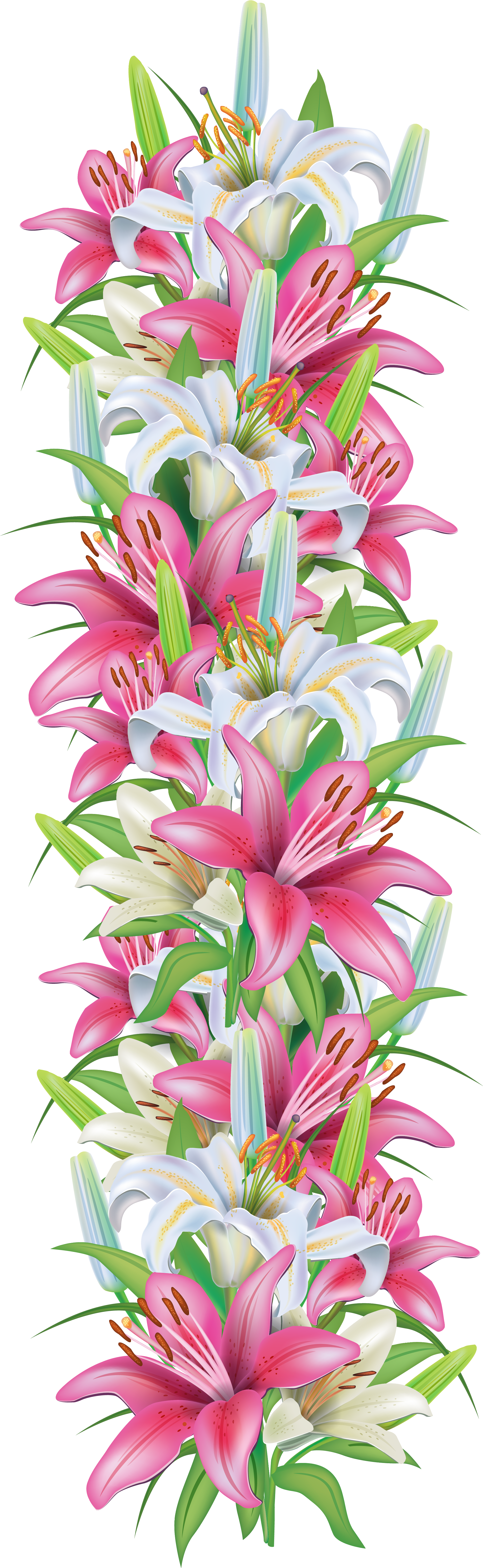 Floral_ Vertical_ Border_ Design PNG