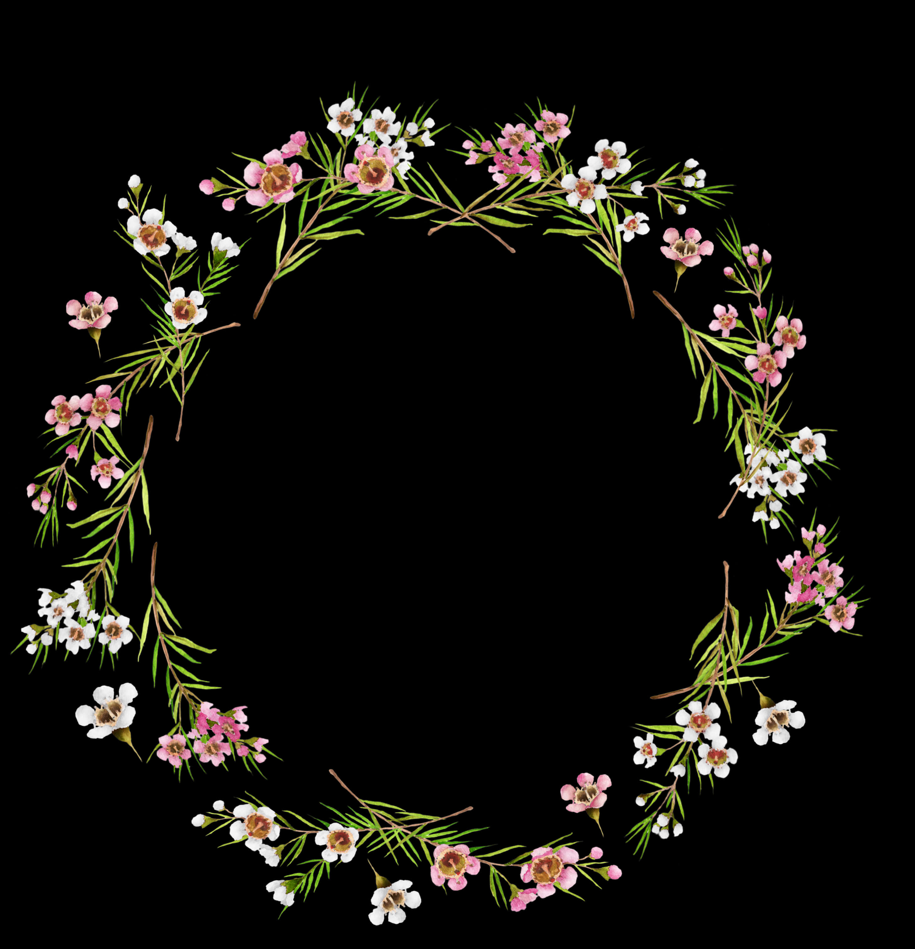 Floral_ Wreath_ Vector_ Graphic PNG