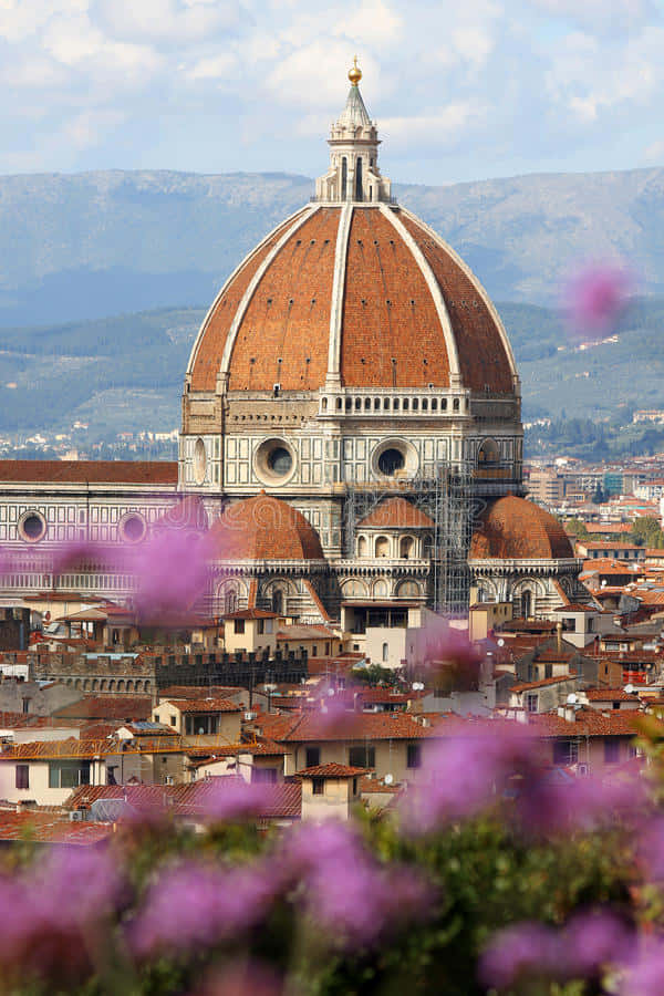 Florence Cathedral View Flowers Italy Wallpaper
