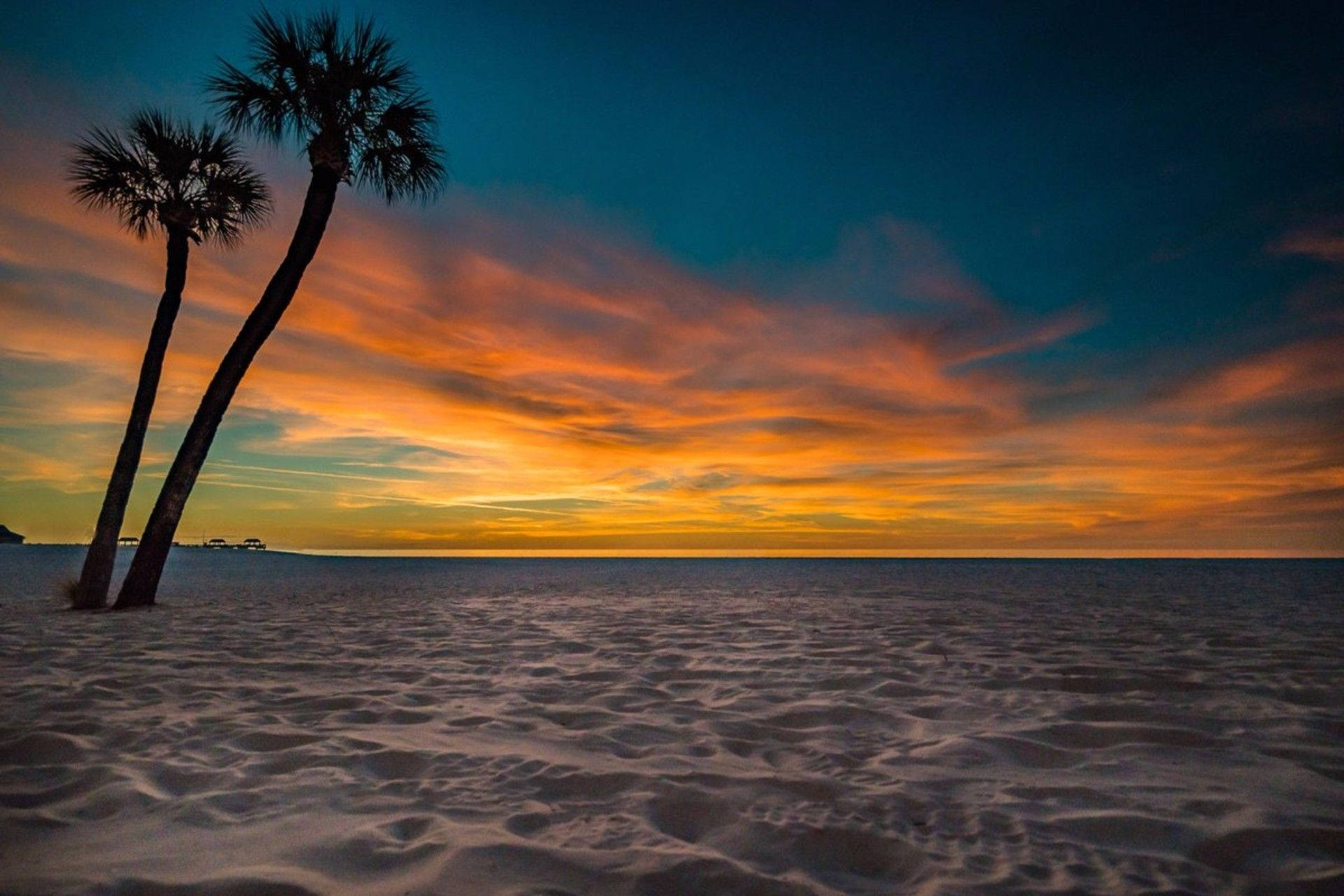 Enchanting Florida Beach with Palm Trees Wallpaper