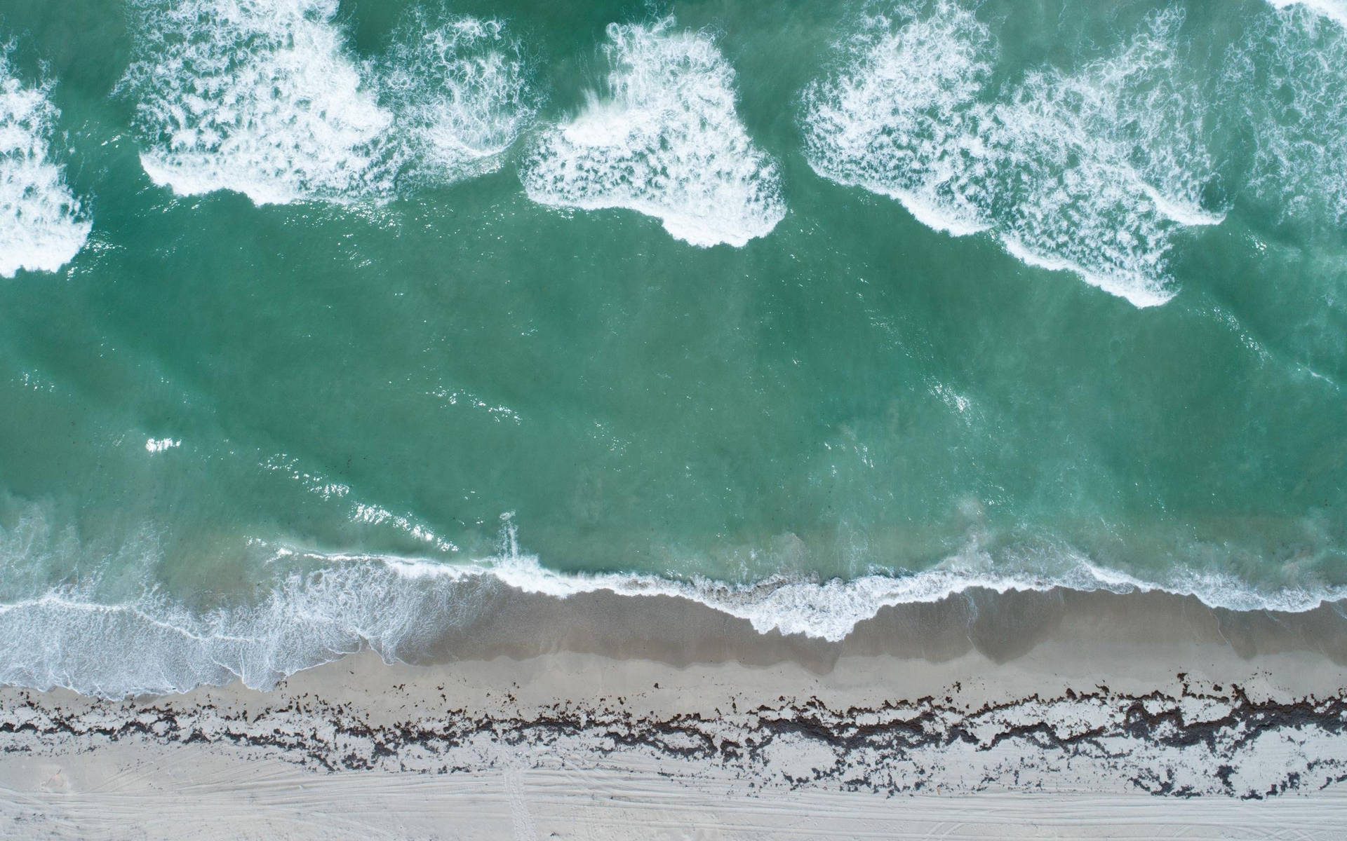 Florida Beach Sea Aerial View Wallpaper