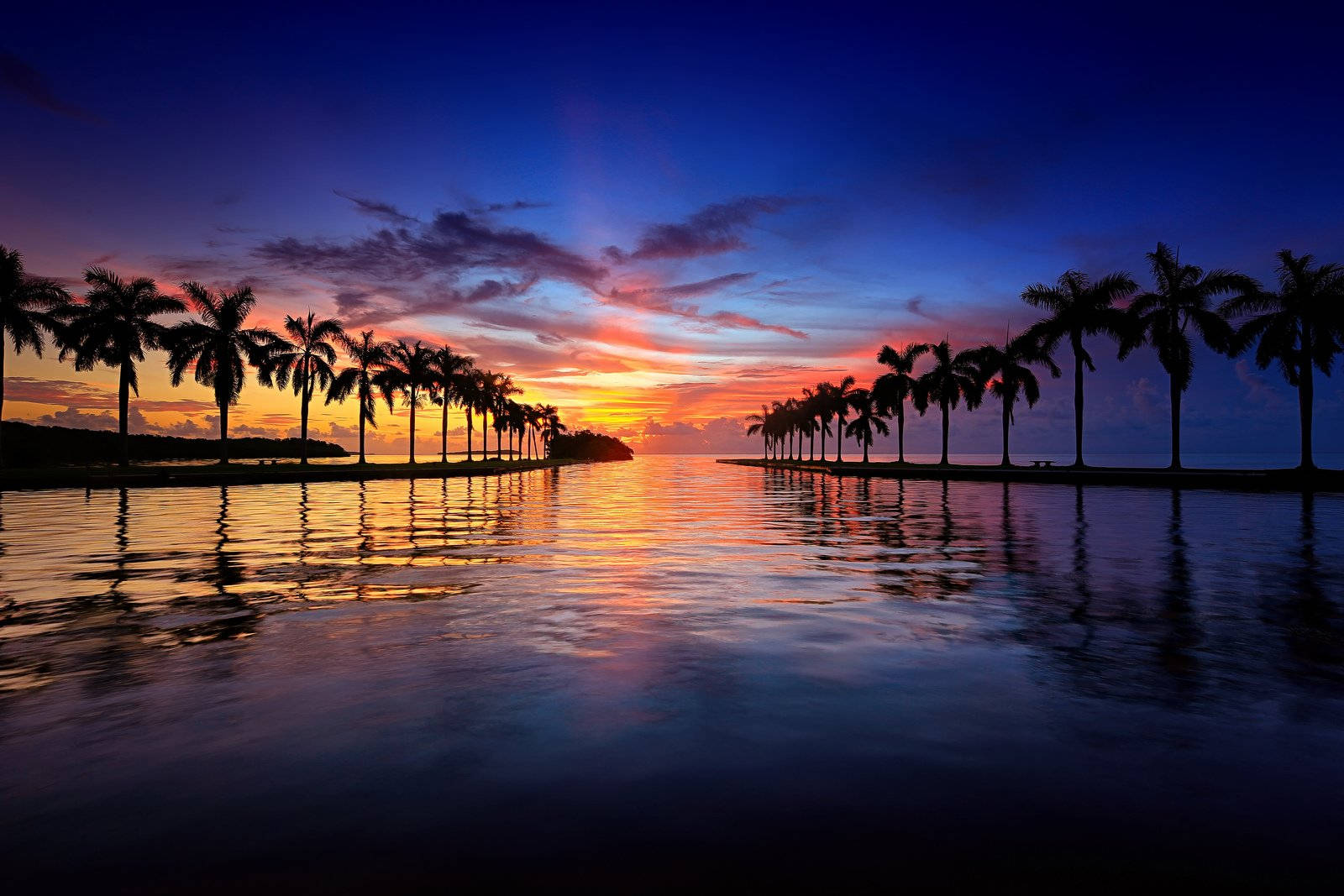 Florida Beach Sunset And Coconut Trees Wallpaper