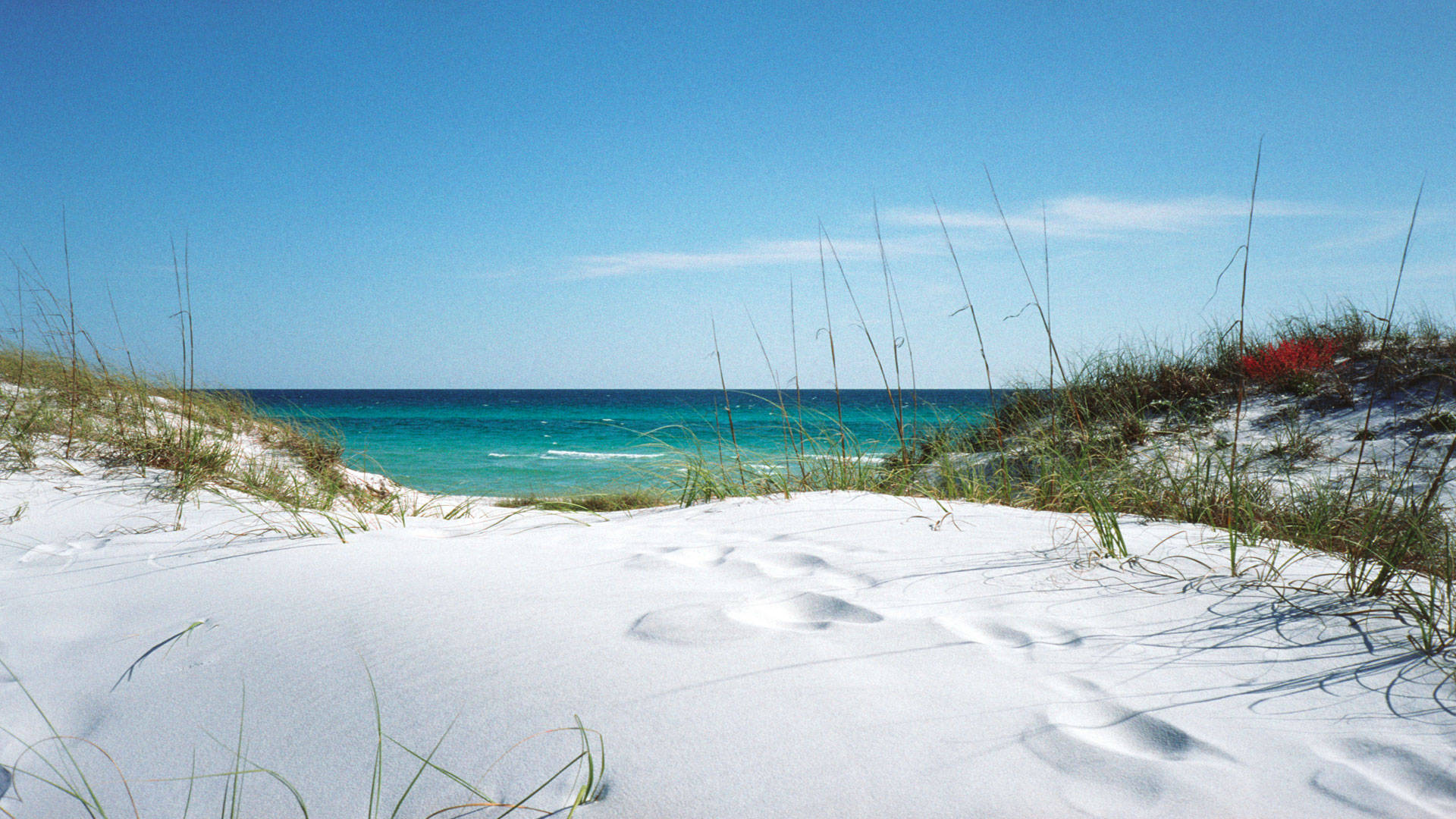 Florida Beach With Fine White Sand Wallpaper